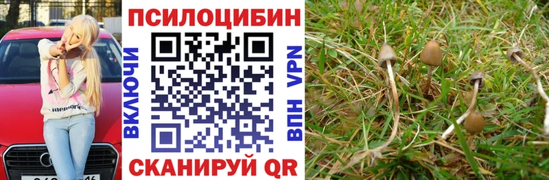 Галлюциногенные грибы MAGIC MUSHROOMS  blacksprut как войти  Йошкар-Ола 