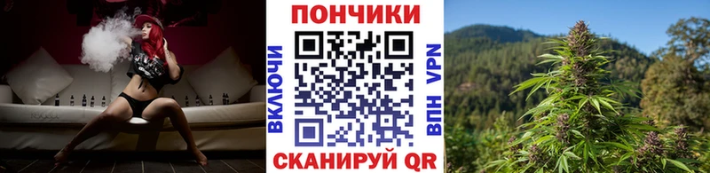 omg онион  Йошкар-Ола  Бошки марихуана тримм 